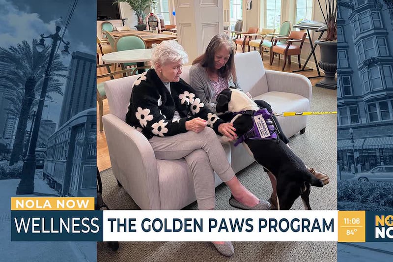 About You In Home Care helps provide companionship with Golden Paws Program