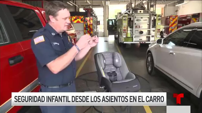 La Seguridad de los Pasajeros Infantiles