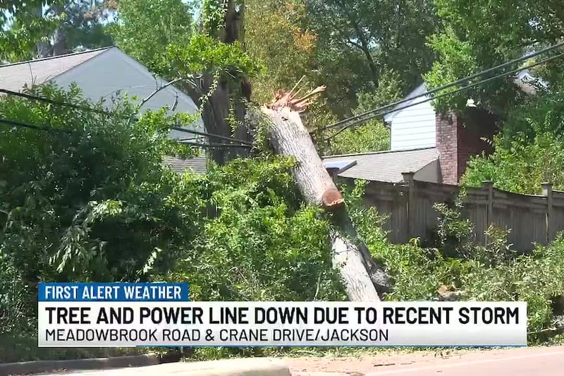 Tree damages powerline, blocks roadway in Jackson