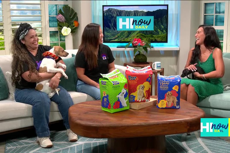 Saving Lives Together: How You Can Foster, Adopt, or Support Local Rescue Dogs