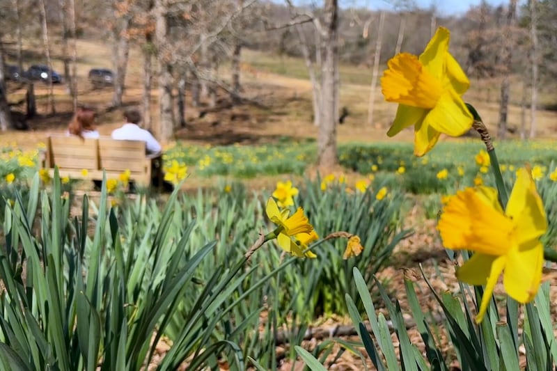 Free Things to Do in East Texas (Part 2)