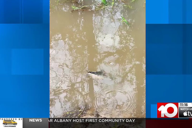 Irwin County residents say flooded dirt roads remain unfixed for years