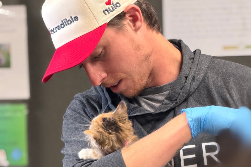 ‘Points for Paws’: Golden Knights forward Mitch Marner partners with Nulo to feed shelter animals