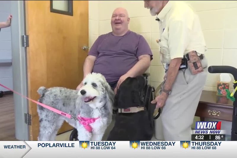 Coast Life: Therapy dogs brings comfort & connection