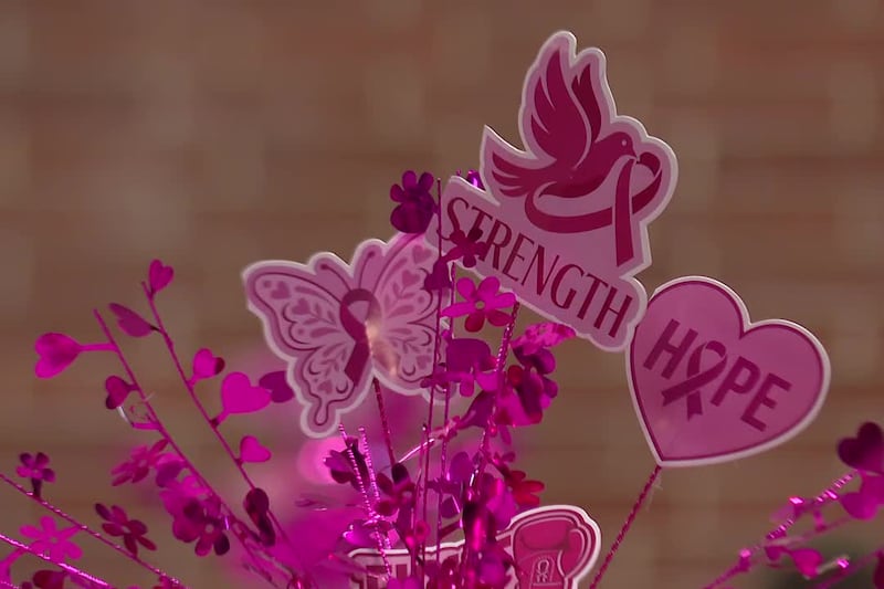Survivor 42216 nonprofit holds event for Breast Cancer Awareness Month