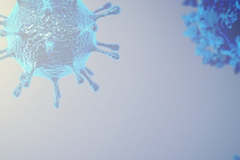 State reports second flu death this season