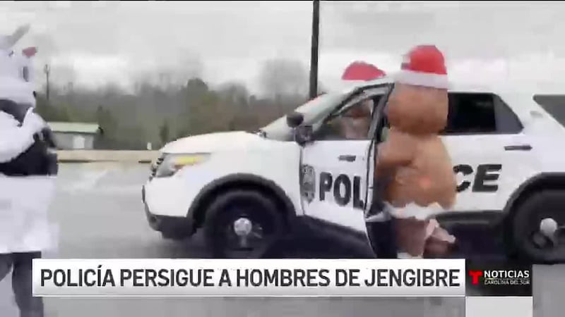 Ellos, no son peligrosos, no están armados, y lo único que roban son sonrisas y todo esto con...